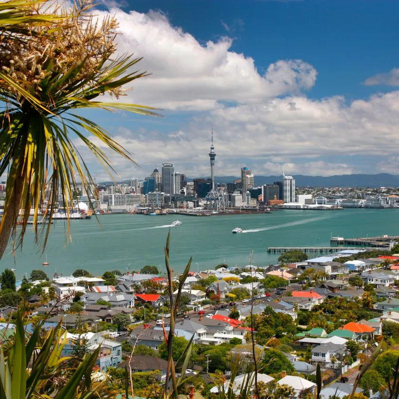 Reisgids Auckland