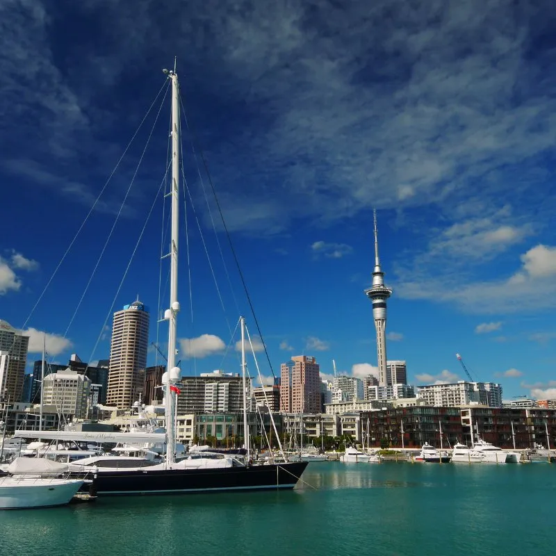 Vakanties naar Auckland